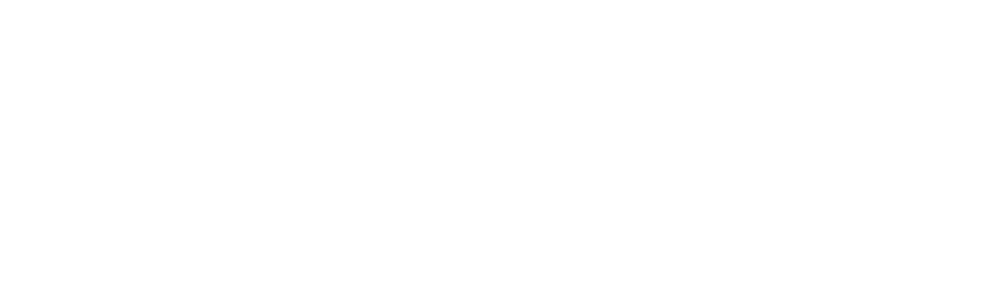 tripavidsor